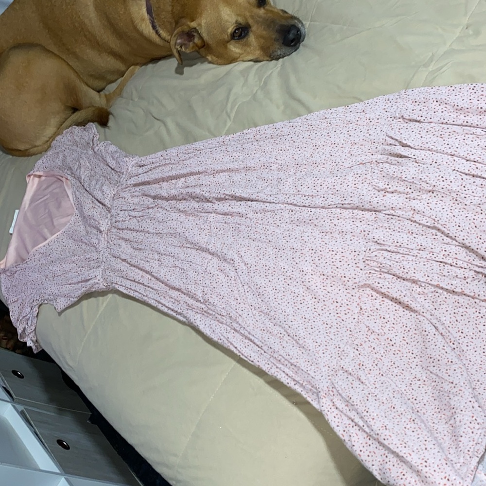 medium dress